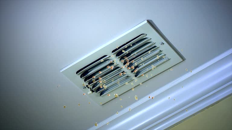 Best Local Air Duct Cleaning Services  in Rolesville, NC